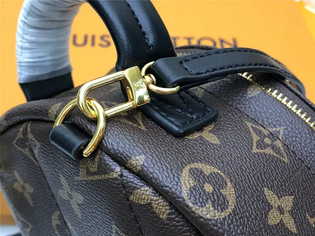 Louis Vuitton Monograma Canvas Mochila Mini 4