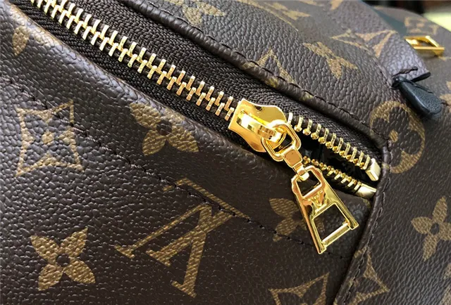 Louis Vuitton Monograma Canvas Mochila Mini 5