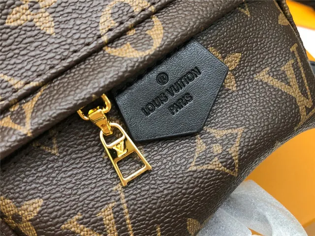 Louis Vuitton Monograma Canvas Mochila Mini 6