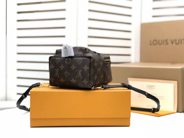 Louis Vuitton Monograma Canvas Mochila Mini 7