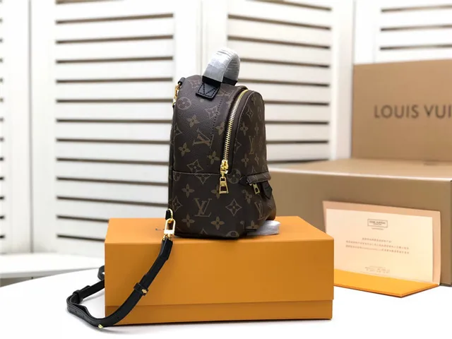 Louis Vuitton Monograma Canvas Mochila Mini 8
