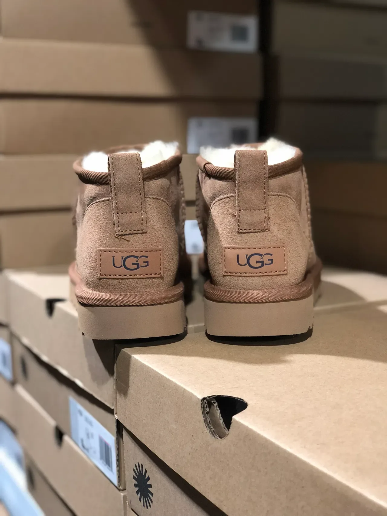 UGG Classic Mini Tan 麂皮羊毛内里雪靴 6
