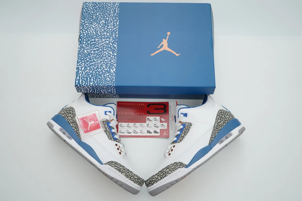 Zapatillas de baloncesto Air Jordan 3 blanco y azul real con estampado de elefante 4
