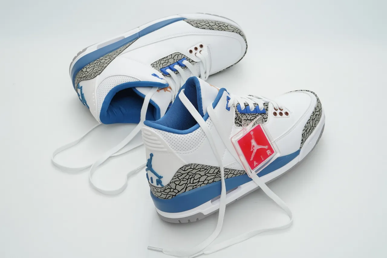 Zapatillas de baloncesto Air Jordan 3 blanco y azul real con estampado de elefante 6