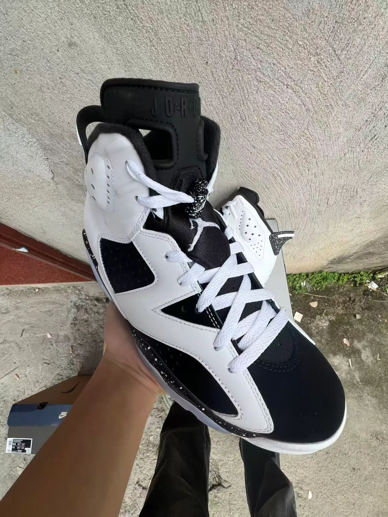 Chaussures de basketball Air Jordan 6 blanc et noir moucheté 2