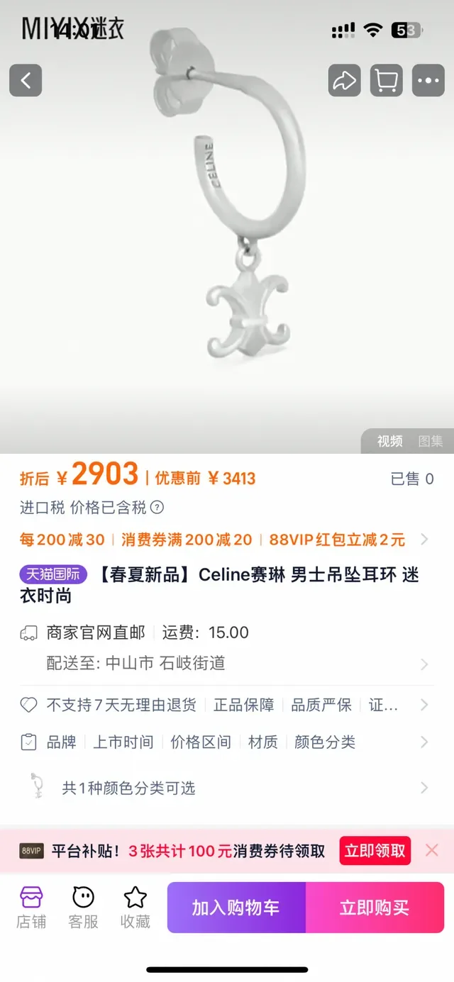 Celine Triomphe Fleur-de-Lis Silver Pendant Necklace 9