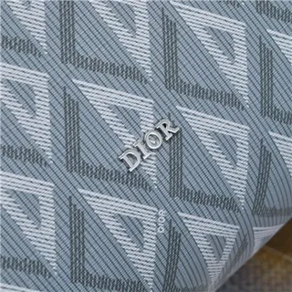 Dior Monogrammed Rectangular Zippered Handbag 15