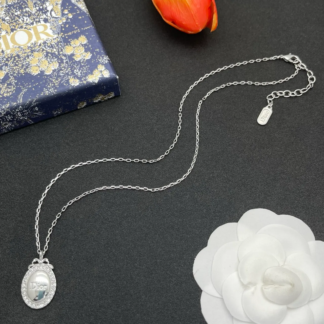 Dior Silver Oval Locket Pendant Crystal-Encrusted Bezel Necklace 7
