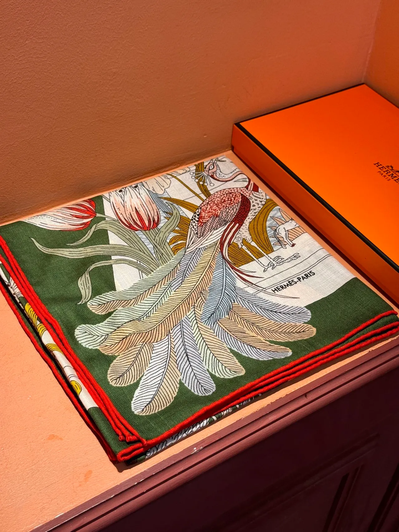 Hermès हरा लाल चित्रात्मक जीवविज्ञानी वनस्पतीय प्रिंट बहुस्तरीय उद्यान प्रतीक रेशम स्कार्फ 6