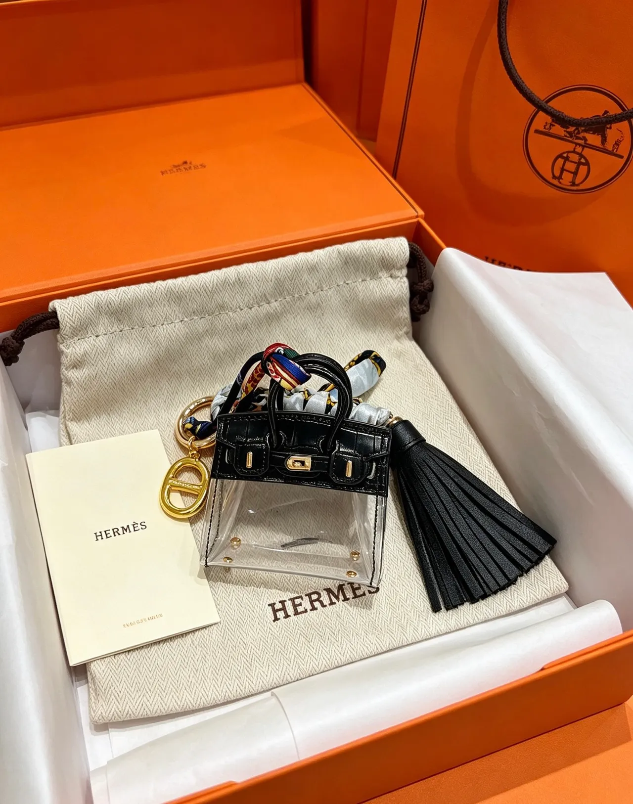 Hermès Mini Birkin Sac Tote en PVC Noir Croc-Embossé et Transparente 3