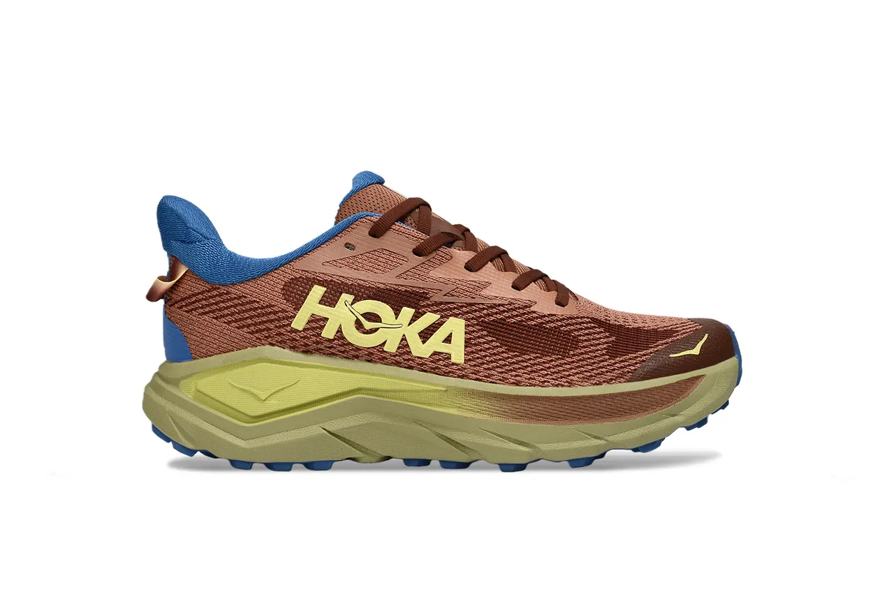 Hoka Clifton বাদামী এবং নীল দৌড়ের জুতা 2