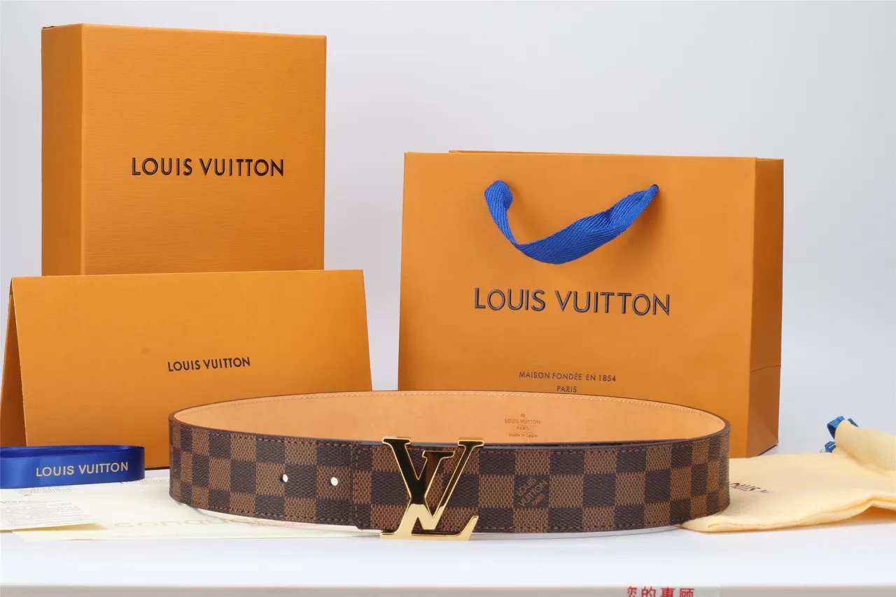 Louis Vuitton LV Ceinture Damier Ebène Marron Toile Cuir 3