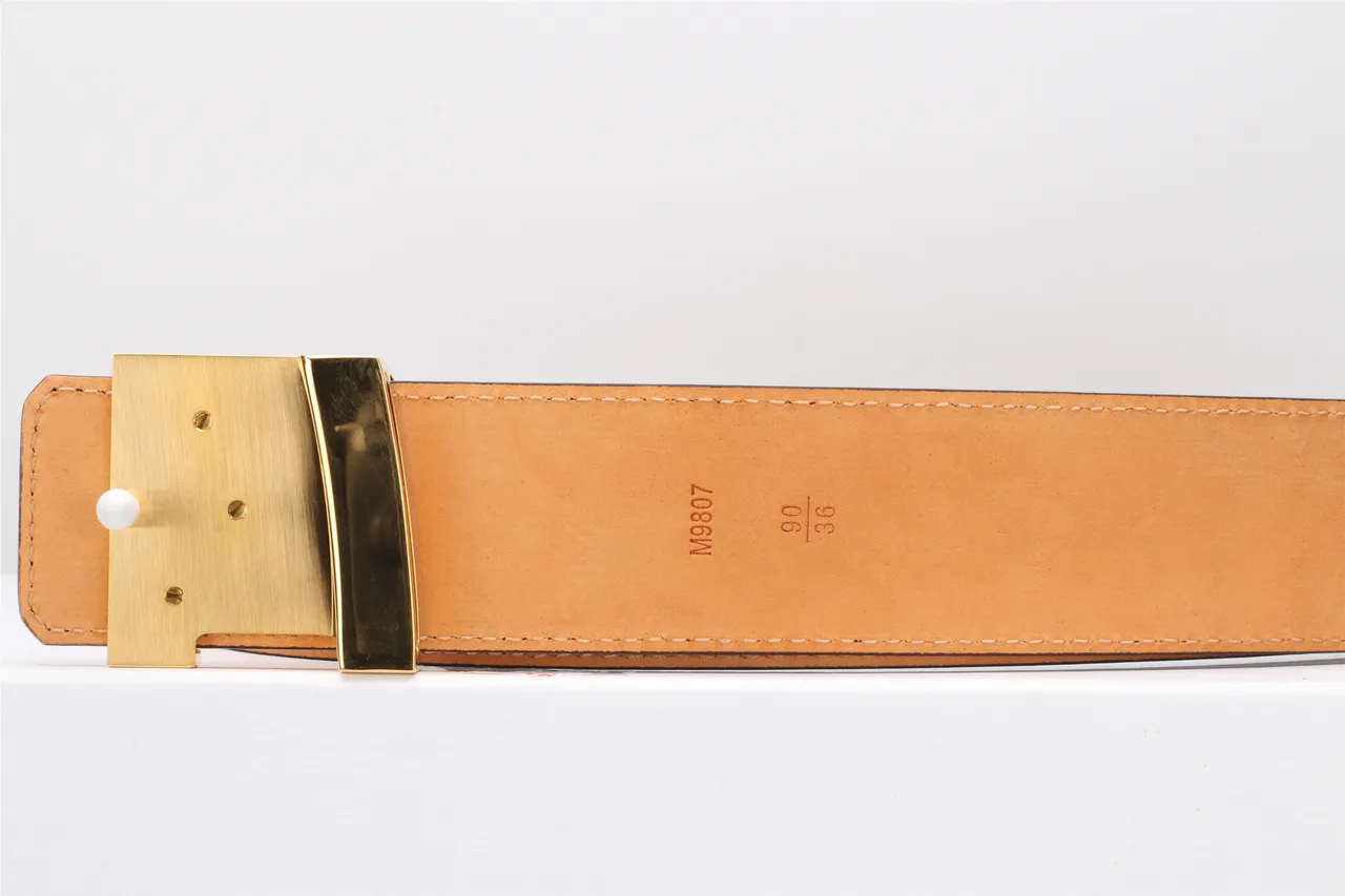 Louis Vuitton LV Ceinture Damier Ebène Marron Toile Cuir 5