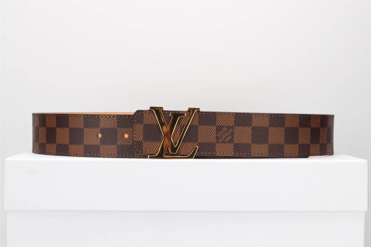 Louis Vuitton LV Ceinture Damier Ebène Marron Toile Cuir 10