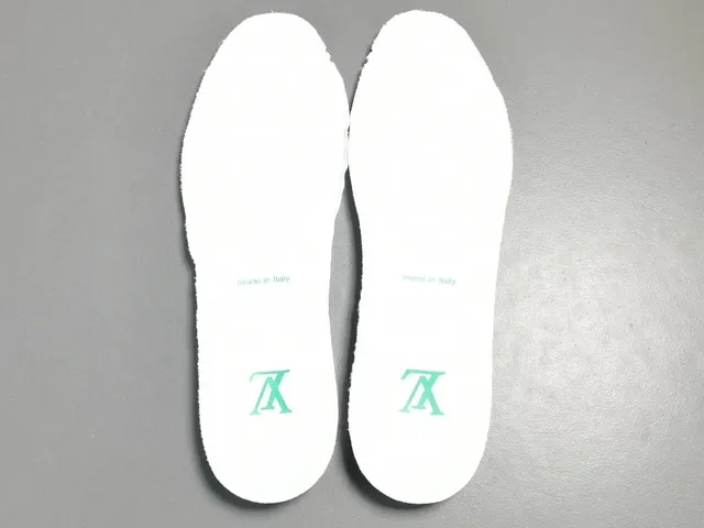 Louis Vuitton LV Trainer baskets lifestyle blanches et vertes 7
