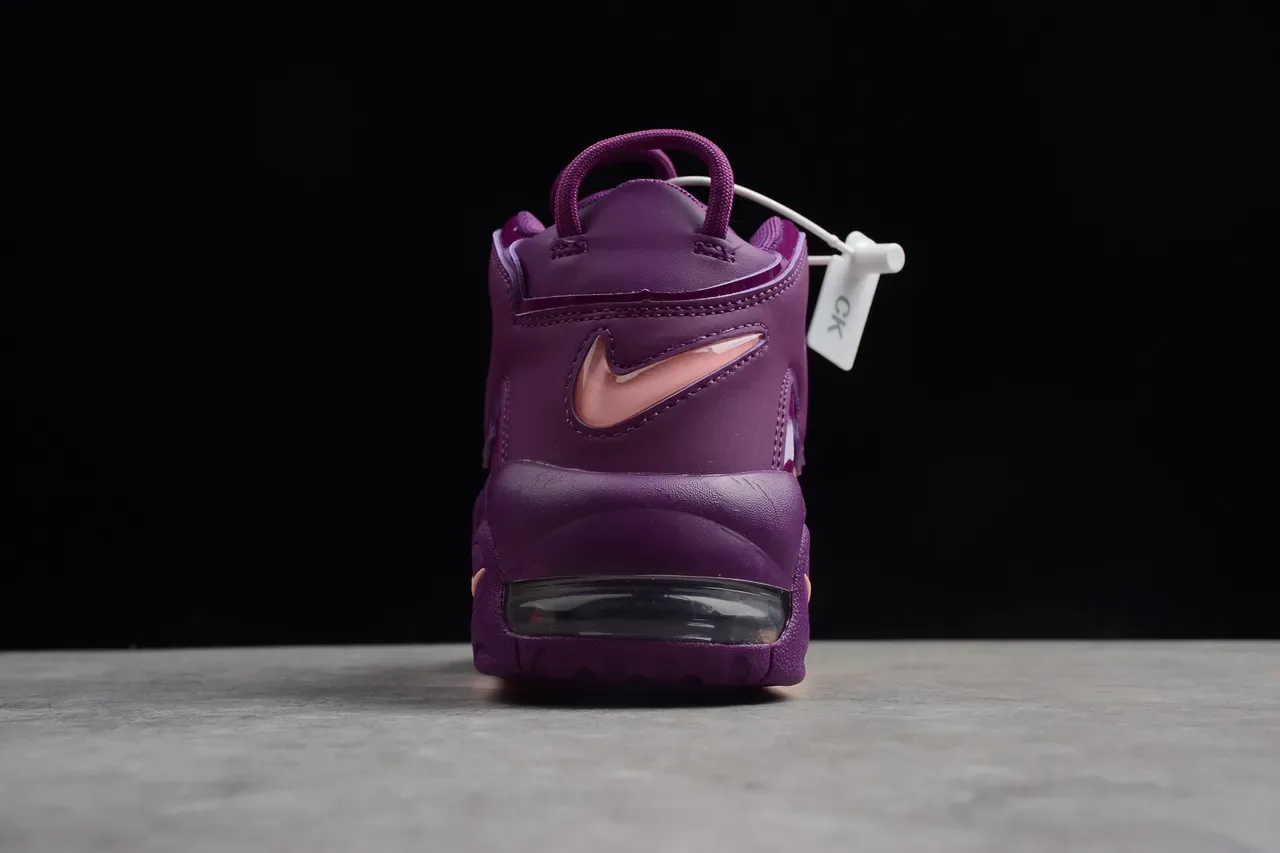 Nike Air More Uptempo Multicolor Segment chaussures de basketball 10