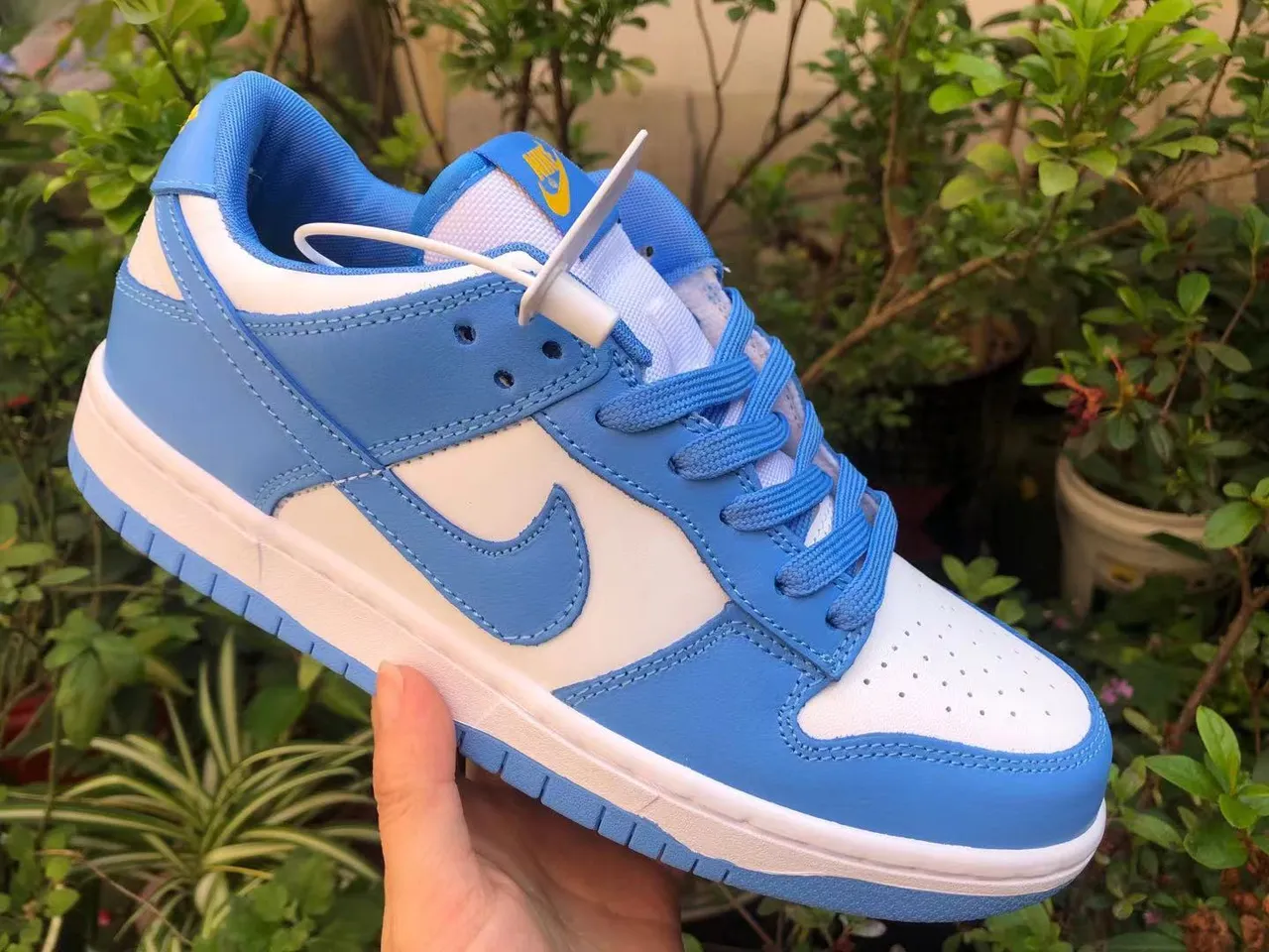Nike Dunk Low Blue and White Lifestyle Sneakers 5