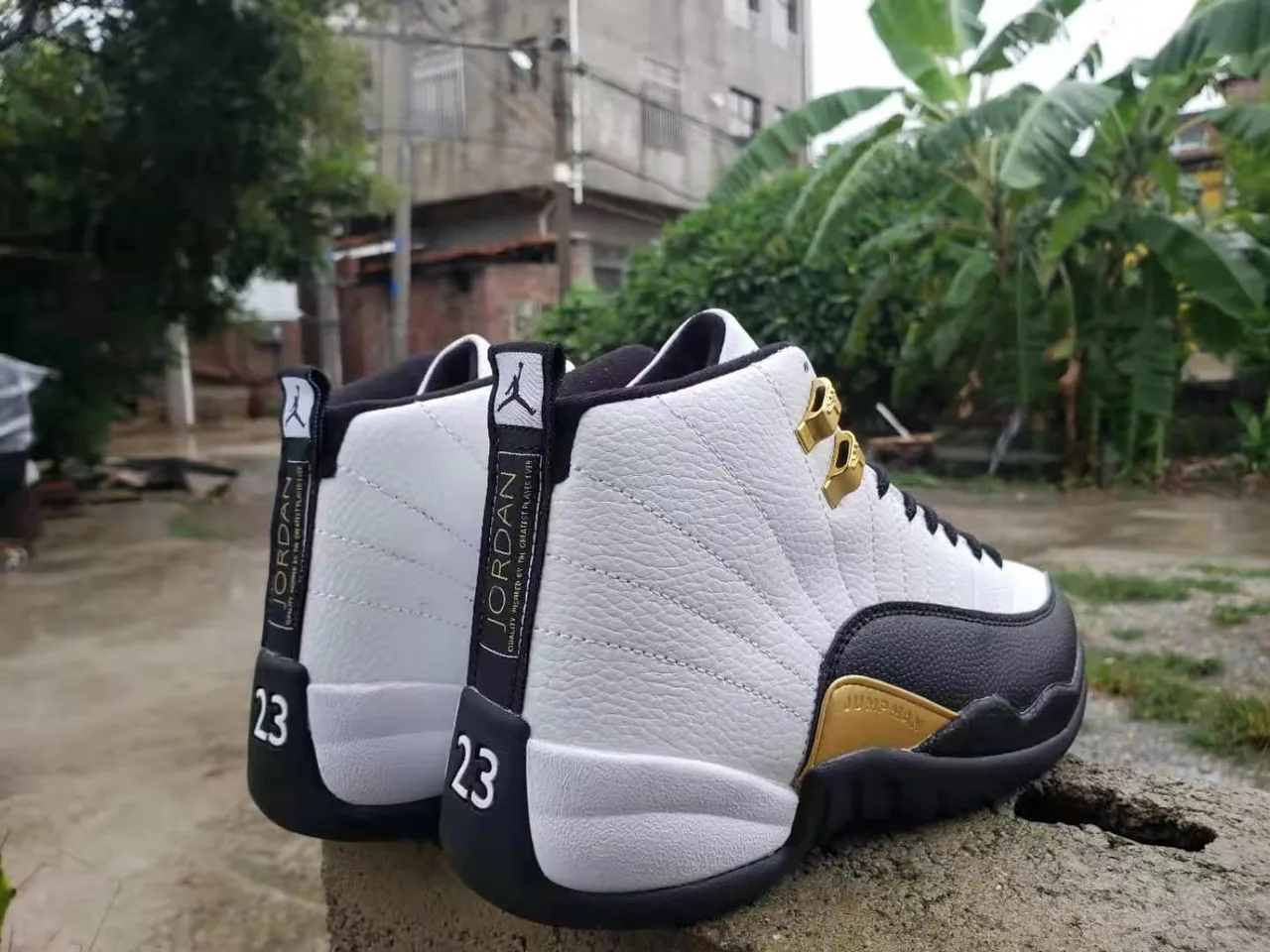 Chaussures de basketball Air Jordan 12 blanc noir or 2