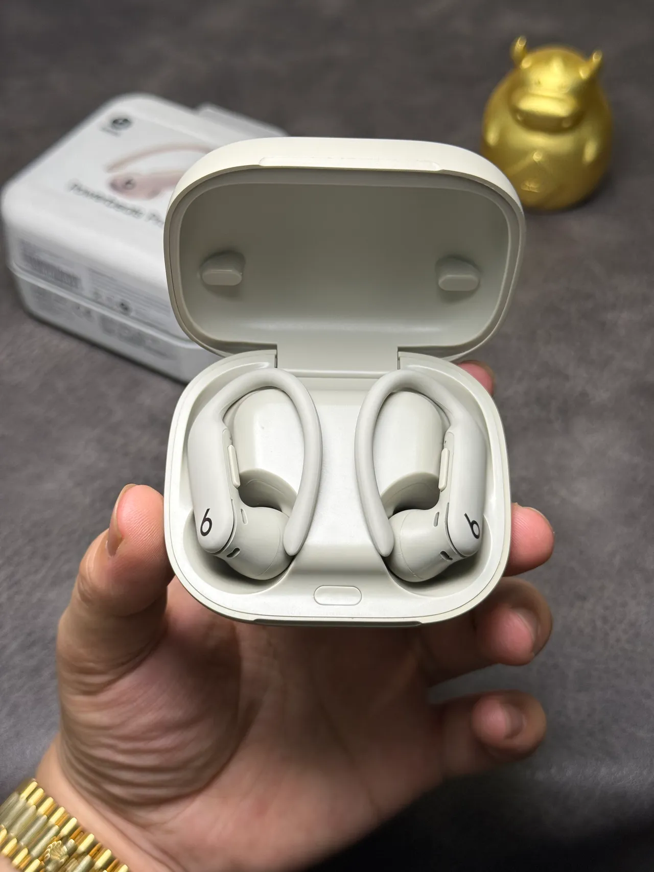 Beats Powerbeats Pro 2 भूरा-सफेद कॉम्पैक्ट गोलाकार केस मैट फिनिश TWS इयरबड्स 13