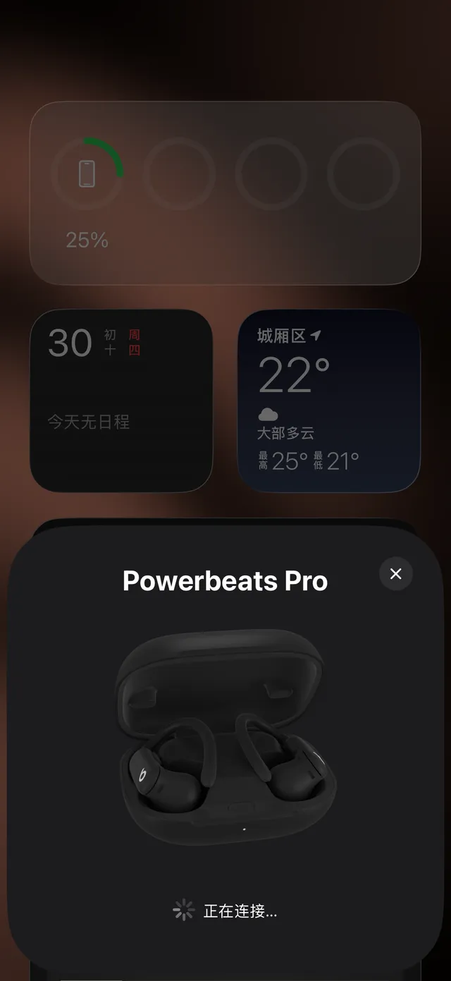 Beats Powerbeats Pro 2 भूरा-सफेद कॉम्पैक्ट गोलाकार केस मैट फिनिश TWS इयरबड्स 19