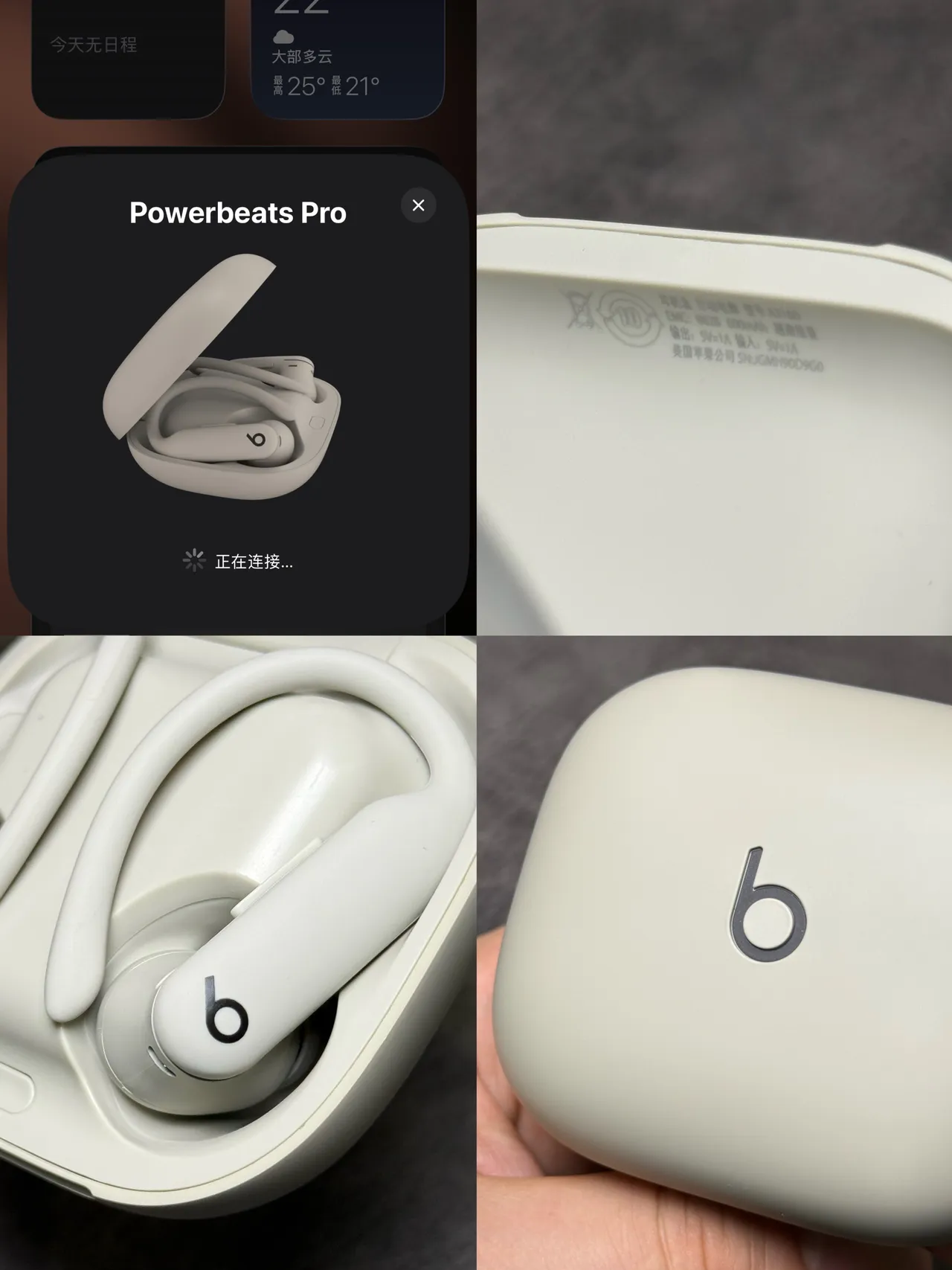 Beats Powerbeats Pro 2 भूरा-सफेद कॉम्पैक्ट गोलाकार केस मैट फिनिश TWS इयरबड्स 20