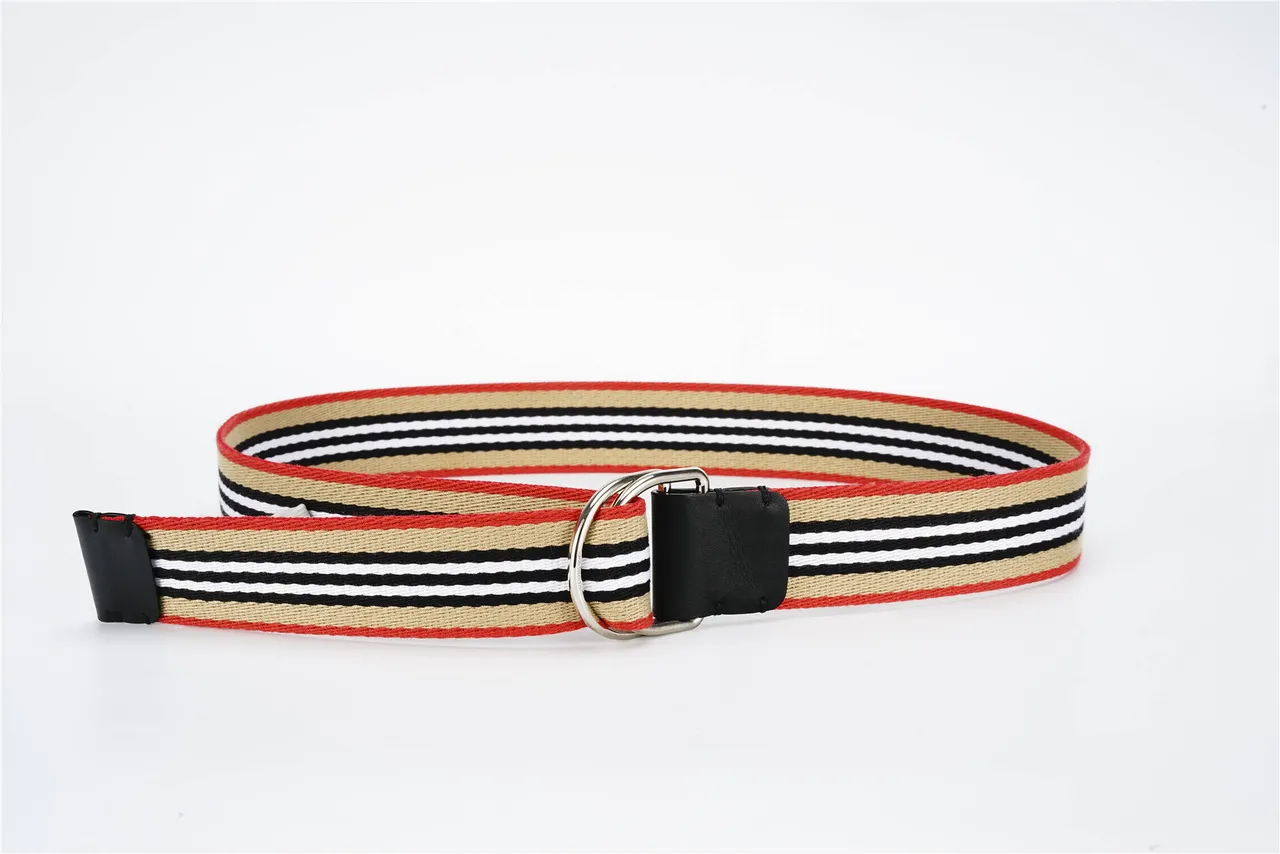 Burberry Correa Casa Rayada Rojo Beige Tela Trenzada Rayada Cuero Negro Hebilla Correa Lona 4