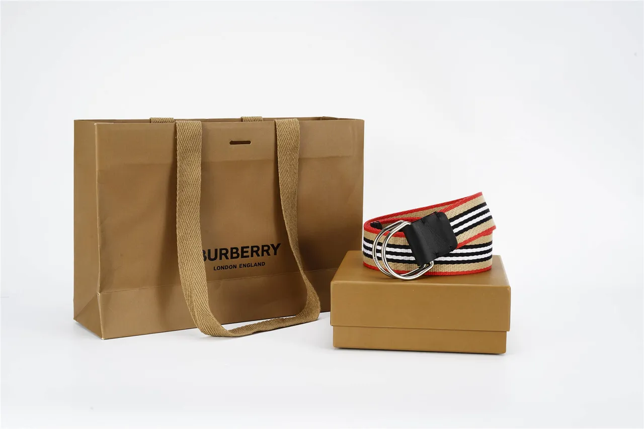Burberry Correa Casa Rayada Rojo Beige Tela Trenzada Rayada Cuero Negro Hebilla Correa Lona 8