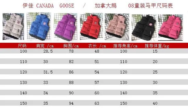 Canada Goose صدرية بنفسجي أسود مبطنة عالية الياقة 2