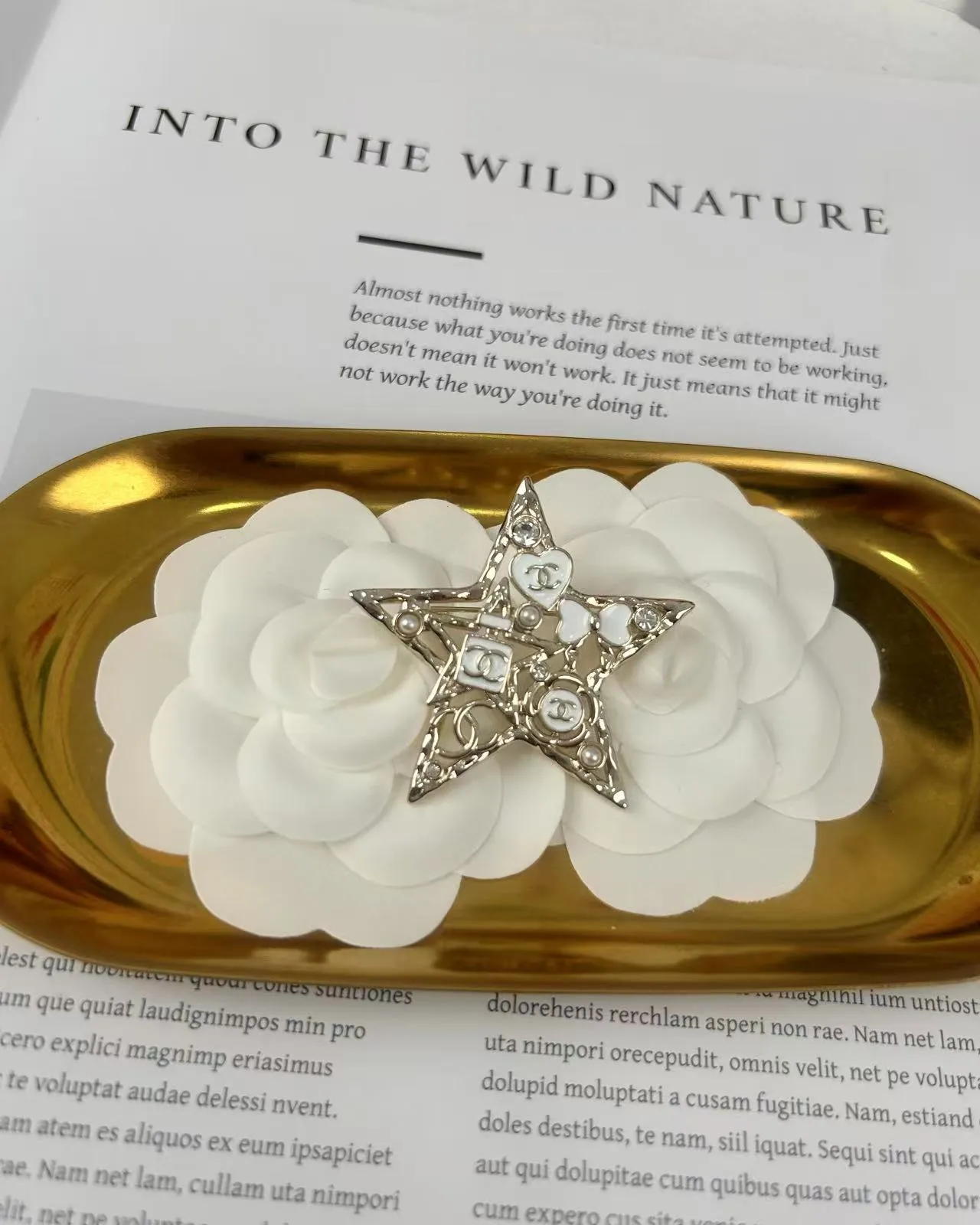 Chanel broche étoile broche en métal blanc doré 6