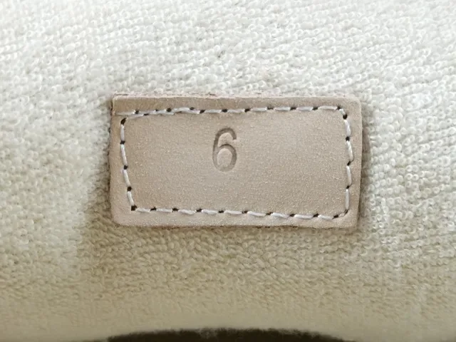 Gucci Marron Beige Semelle Chunky Plateforme GG Monogram Toile Sneakers Lifestyle 12