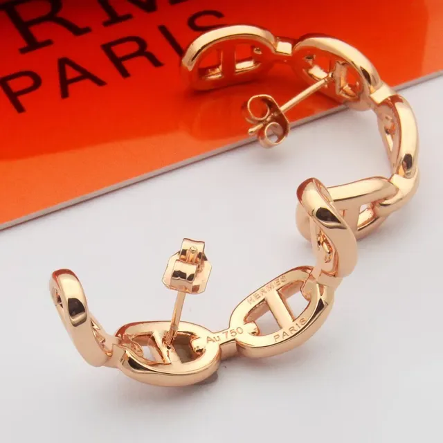 Hermès Chaine d'Ancre সোনা রুপো চেইন লিংক হুপ ইয়াররিংস 2