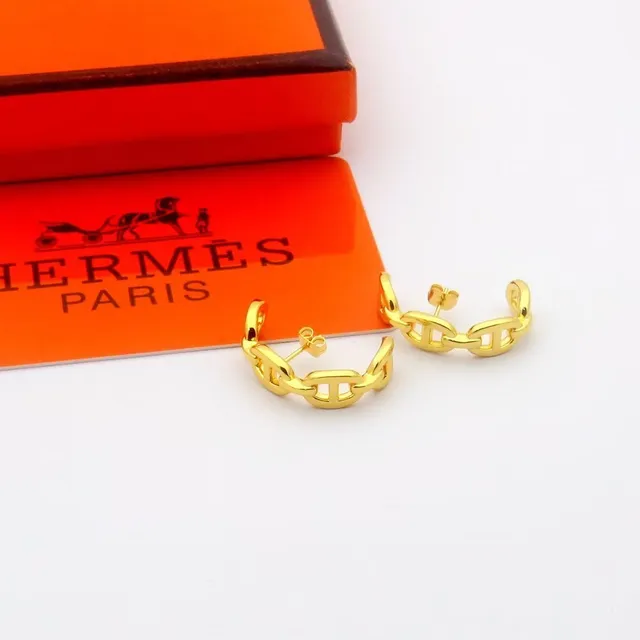 Hermès Chaine d'Ancre সোনা রুপো চেইন লিংক হুপ ইয়াররিংস 3
