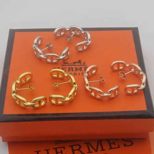 Hermès Chaine d'Ancre সোনা রুপো চেইন লিংক হুপ ইয়াররিংস 6