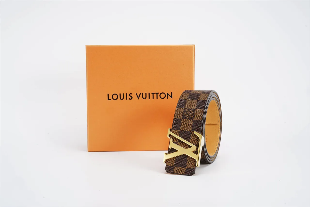 Louis Vuitton LV Damier Ebène Ceinture en cuir marron et tan 5