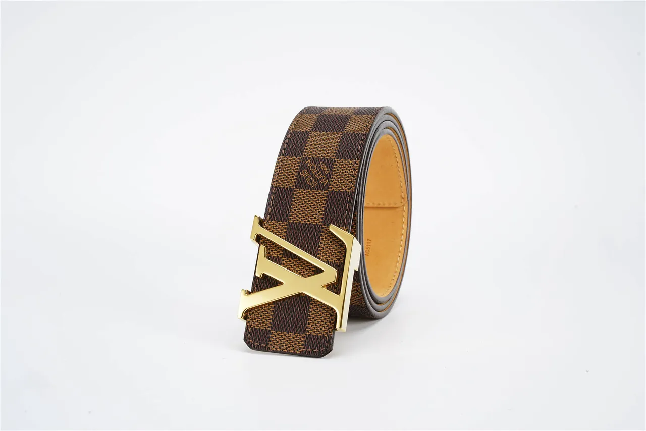 Louis Vuitton LV Damier Ebène Ceinture en cuir marron et tan 6