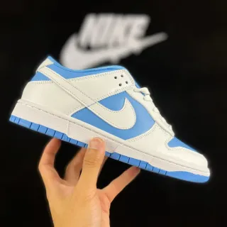 Nike Dunk Low Blanc et Bleu Clair Lifestyle Sneakers