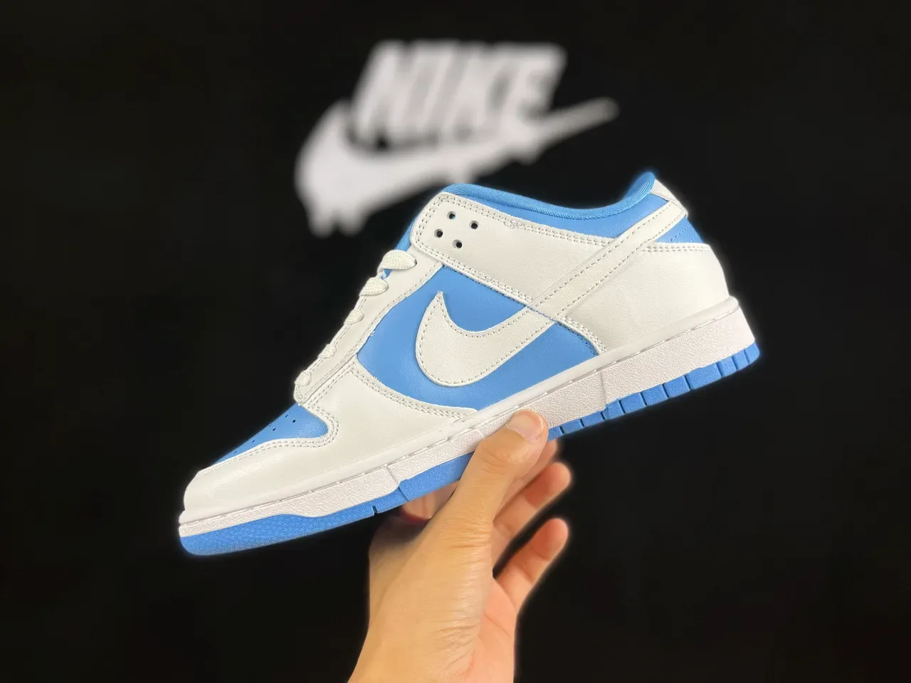 Nike Dunk Low Blanc et Bleu Clair Lifestyle Sneakers 7