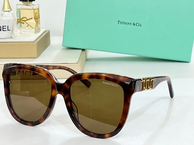 Tiffany & Co. T Collection Oversized Cat-Eye Black Sunglasses 4