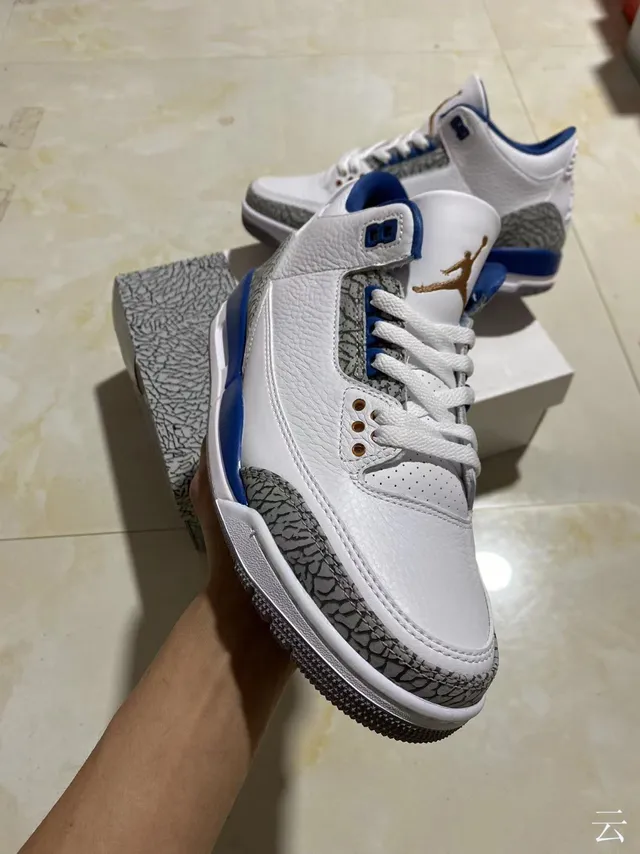 Chaussures de basketball Air Jordan 3 blanc et bleu royal à imprimé éléphant 2