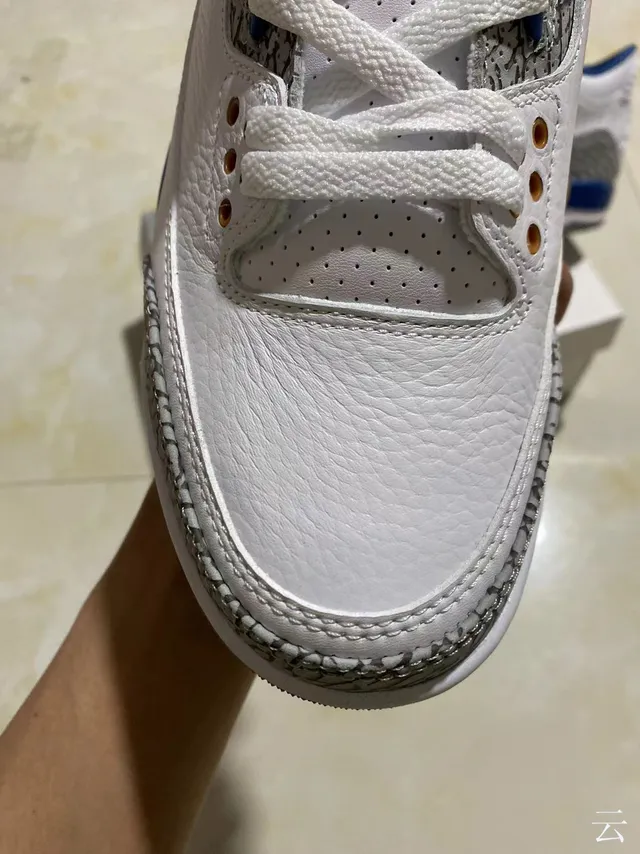 Chaussures de basketball Air Jordan 3 blanc et bleu royal à imprimé éléphant 3