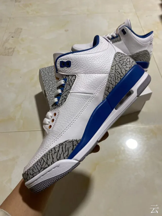 Chaussures de basketball Air Jordan 3 blanc et bleu royal à imprimé éléphant 4