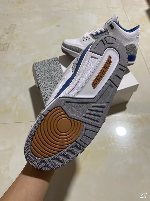 Chaussures de basketball Air Jordan 3 blanc et bleu royal à imprimé éléphant 5