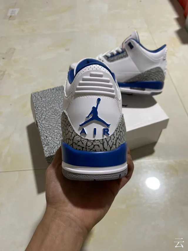 Chaussures de basketball Air Jordan 3 blanc et bleu royal à imprimé éléphant 6