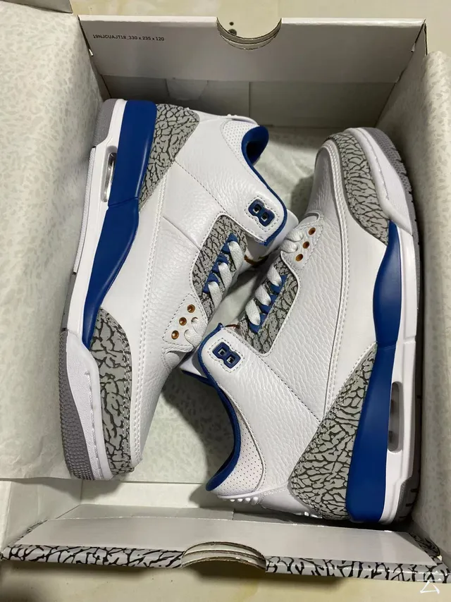 Chaussures de basketball Air Jordan 3 blanc et bleu royal à imprimé éléphant 7