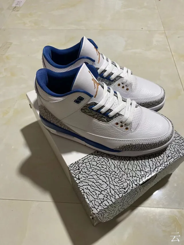 Chaussures de basketball Air Jordan 3 blanc et bleu royal à imprimé éléphant 8