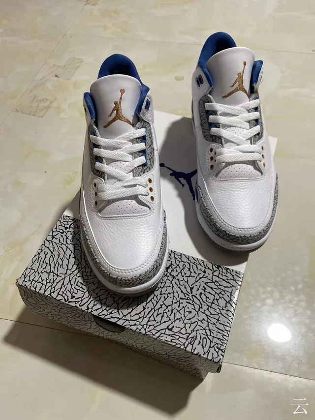 Chaussures de basketball Air Jordan 3 blanc et bleu royal à imprimé éléphant 9