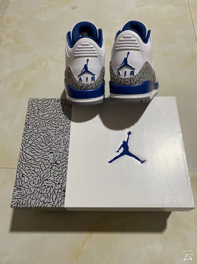 Chaussures de basketball Air Jordan 3 blanc et bleu royal à imprimé éléphant 10