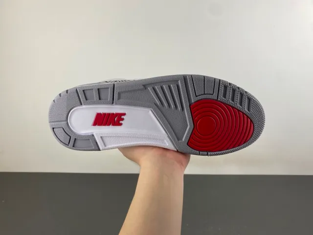 Chaussures de basketball Air Jordan 3 blanc et bleu royal à motif éléphant 9