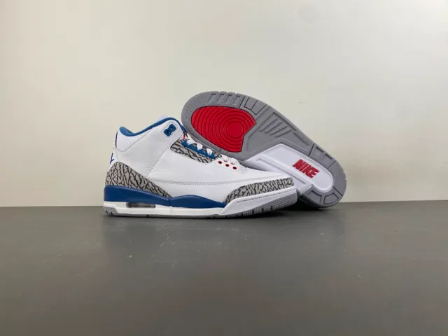Chaussures de basketball Air Jordan 3 blanc et bleu royal à motif éléphant 12