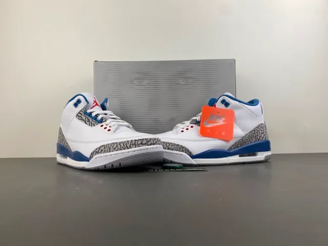 Chaussures de basketball Air Jordan 3 blanc et bleu royal à motif éléphant 13